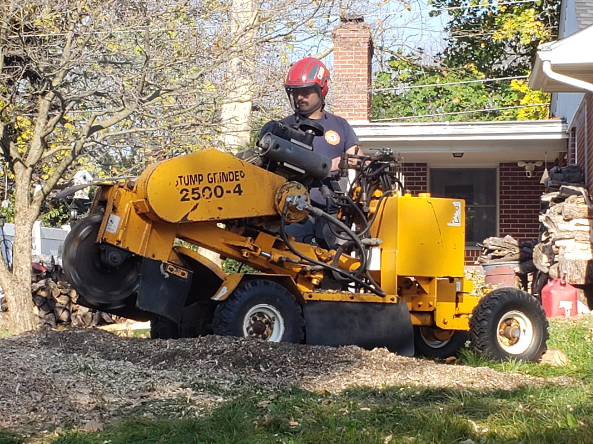 Margo's Tree Surgery gallery 8